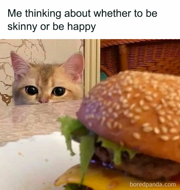 Cat meme showing a cat peering at a burger with the caption "Me thinking about whether to be skinny or be happy".