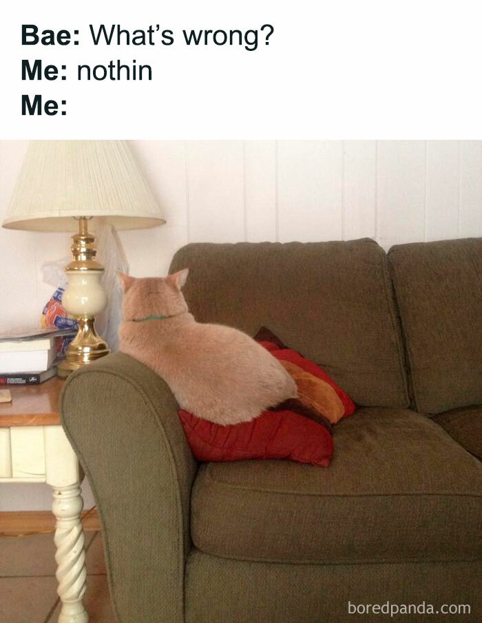 Cat meme showing a feline facing away on a couch, humorously captioned about relationship misunderstandings.