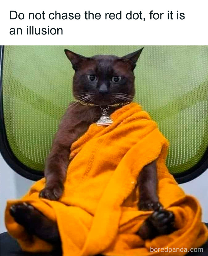 Cat in an orange robe on a green chair with text "Do not chase the red dot; for it is an illusion," capturing feline attitude.