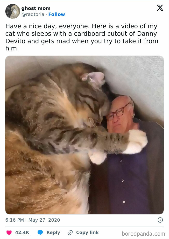 A cat cuddles a cardboard cutout, capturing feline attitude in a hilarious meme.