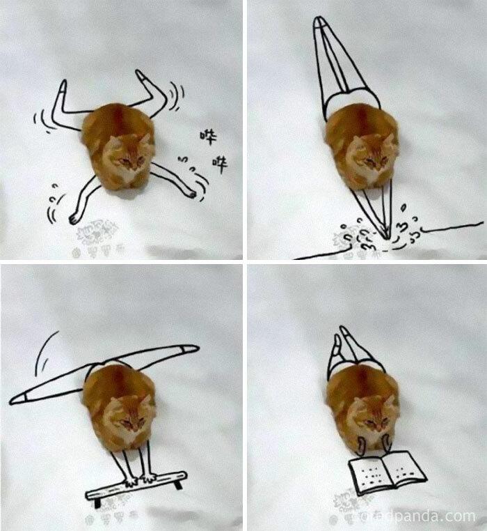 Hilarious cat memes featuring a ginger cat integrated with creative drawings to show various funny activities.