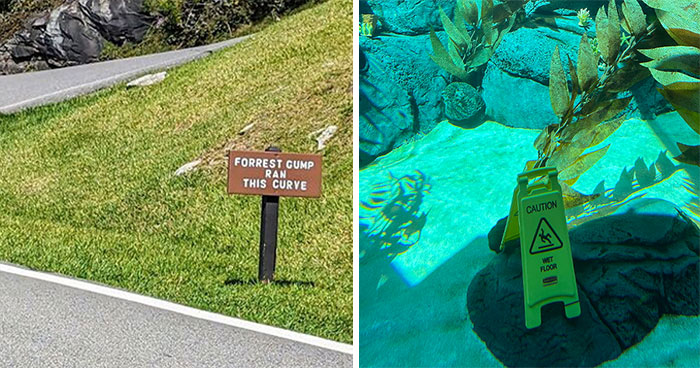 50 Clever Signs Spotted In Public That Deserved To Be Photographed (New Pics)