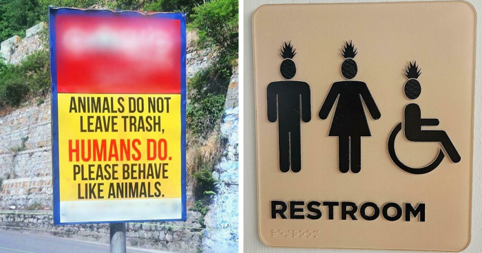 99 Signs So Genius Folks Couldn’t Pass Them By Without Snapping A Photo (New Pics)