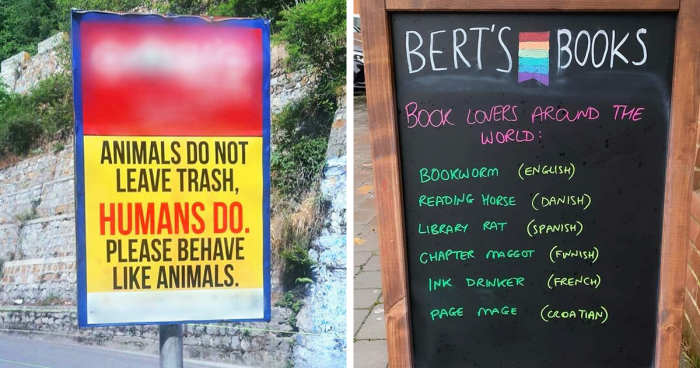 99 Times People Encountered Such Genius Signs They Had To Take A Picture (New Pics)