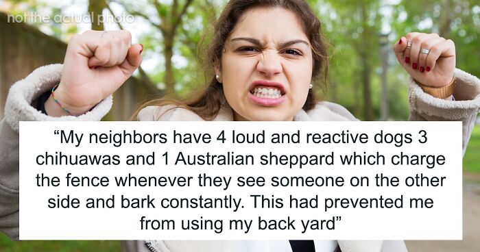 Rude Neighbors Yell At Lady For Using Her Own Yard Due To Their Reactive Dogs, She Takes Revenge