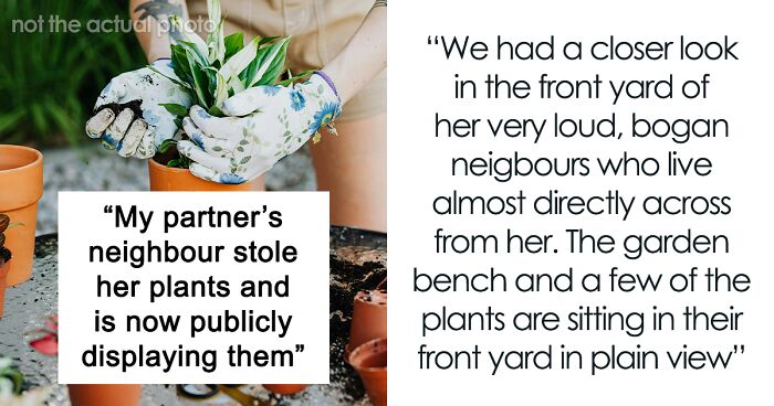 “We Called The Police”: Newcomer Discovers Her Bench And Plants Displayed In Neighbors’ Yard