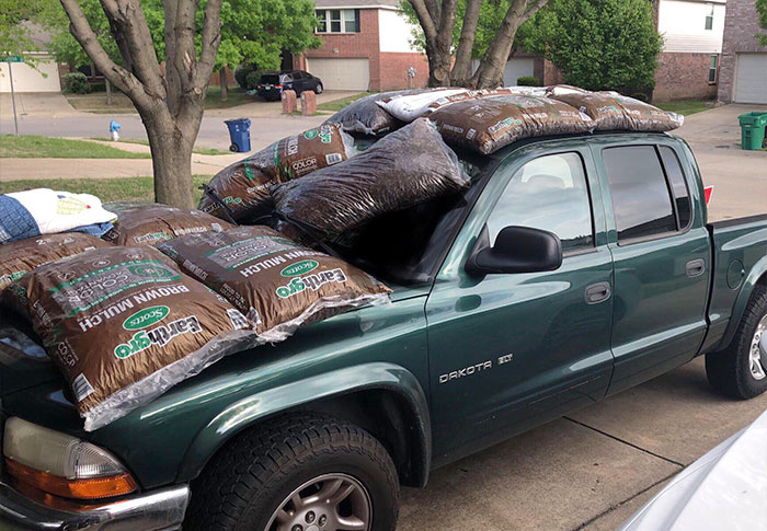 Excuse The Mulch, There Was An Incoming Hail Storm A While Back