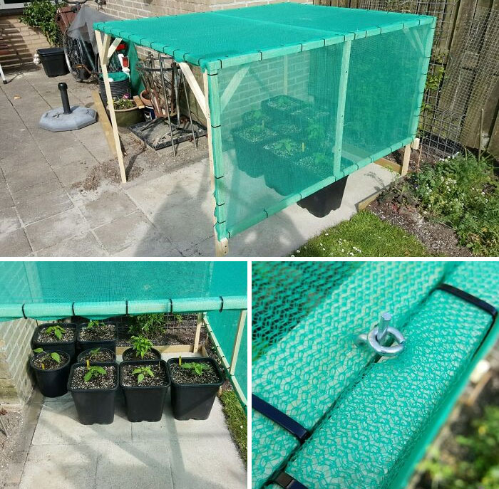 Building Some Shade Cloth-Covered Protectors For My Plants This Year, As I Don't Want A Repeat Of Last Year's Hail Damage