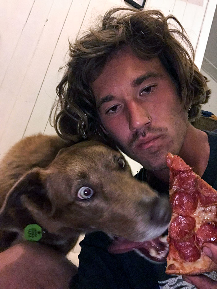 Everyone, This Is Kiki, The Dog, Trying To Steal Pizza From Me