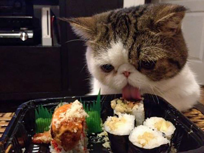 Not So Sneakily Licking Sushi