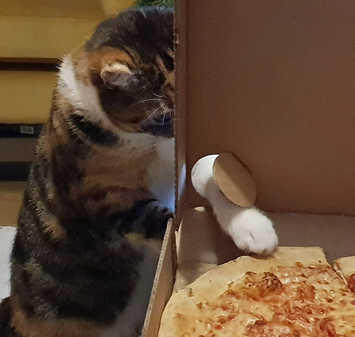 Pizza Thief