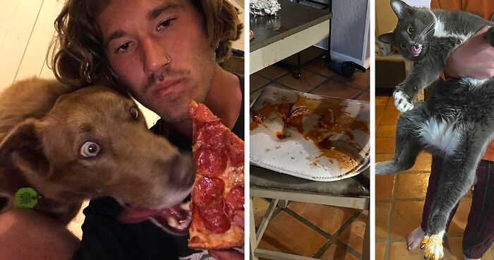 90 Furry Bandits That Tried To Steal Food Right Under Their Owners’ Noses (New Pics)