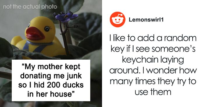 Petty Revenge Takes A Heartwarming Turn As Mom Finds Joy In The Hunt For 200+ Ducks