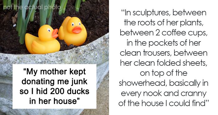 Man Places 200 Ducks In His Mom’s House To Annoy Her For Donating Him Junk, It Doesn’t Work