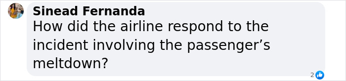 US Tourist Sparks Debate On Airport Etiquette After Trying To Kick Down Airplane’s Door