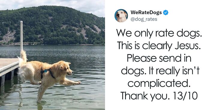 79 Adorable Puppers That Got Featured On The ‘We Rate Dogs’ X Page (New Pics)