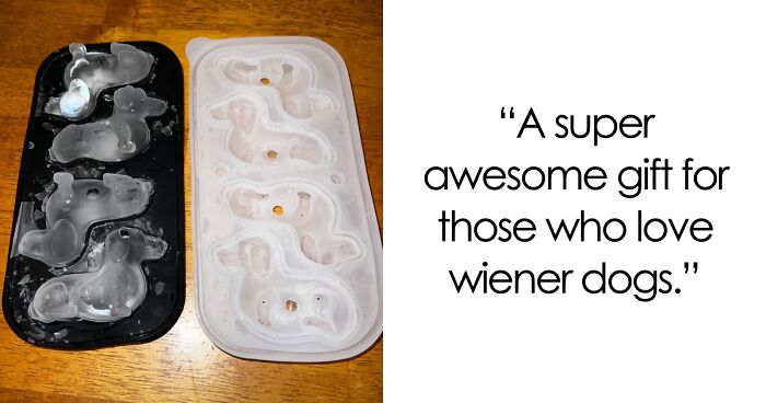 Be The Most Interesting Person In The Room With These 21 Anything-But-Ordinary Finds