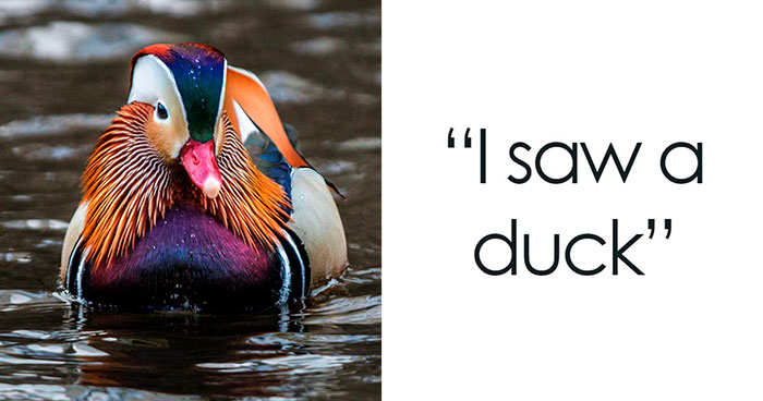 “I Saw A Duck”: 30 Hilariously Trivial Reasons That Made Pregnant Women Bawl