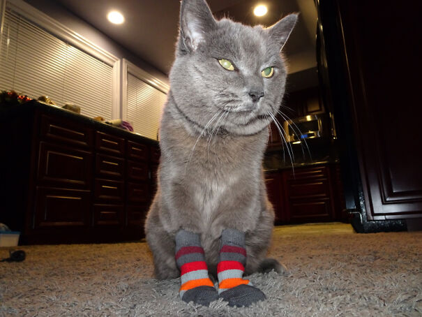 socks4-66ce695e1c53e-png.jpg