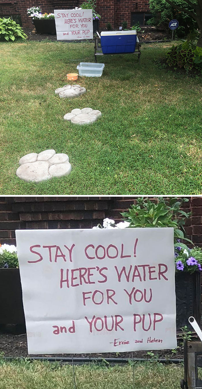 Rolled Up To My Parents' House To Find Them Giving Away Free Water For People And Their Dogs In The Excessive Heatwave In America. I’m Proud To Be Their Daughter