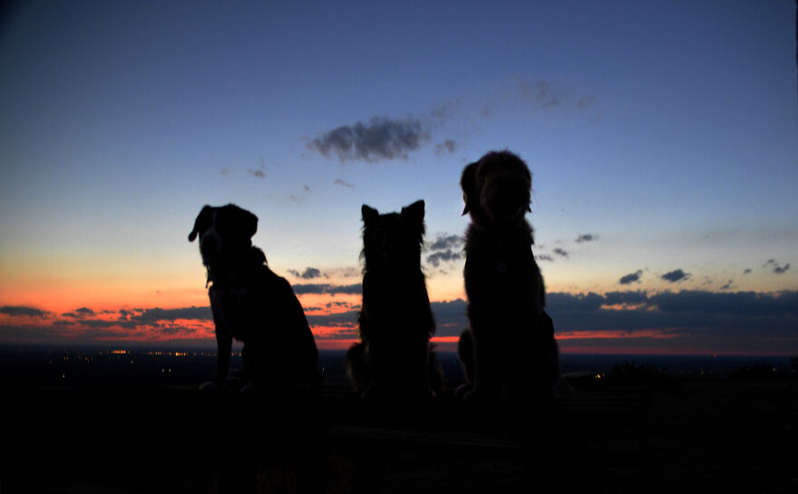 Silhouette Of The Hiking Party