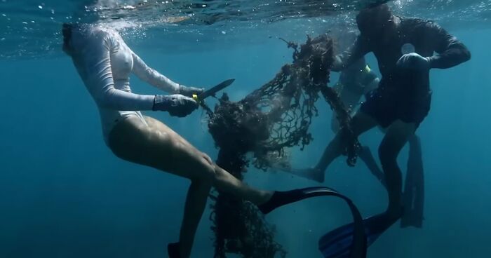 Youtuber MrBeast Managed To Encourage The Community To Remove Over 17,000 Tons Of Ocean Trash