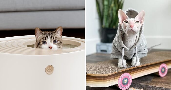 19 Off-The-Wall Products That Prove You're The Ultimate Pet Parent