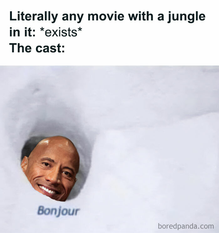 A The Rock meme with the text reading, "Literally any movie with a jungle in it: exists The cast:" Below, there is an image of Dwayne "The Rock" Johnson’s smiling face peeking out of a small hole, with the caption "Bonjour" underneath. The meme humorously suggests that The Rock is always cast in jungle-themed movies, playfully highlighting his frequent roles in such settings with a comical greeting.