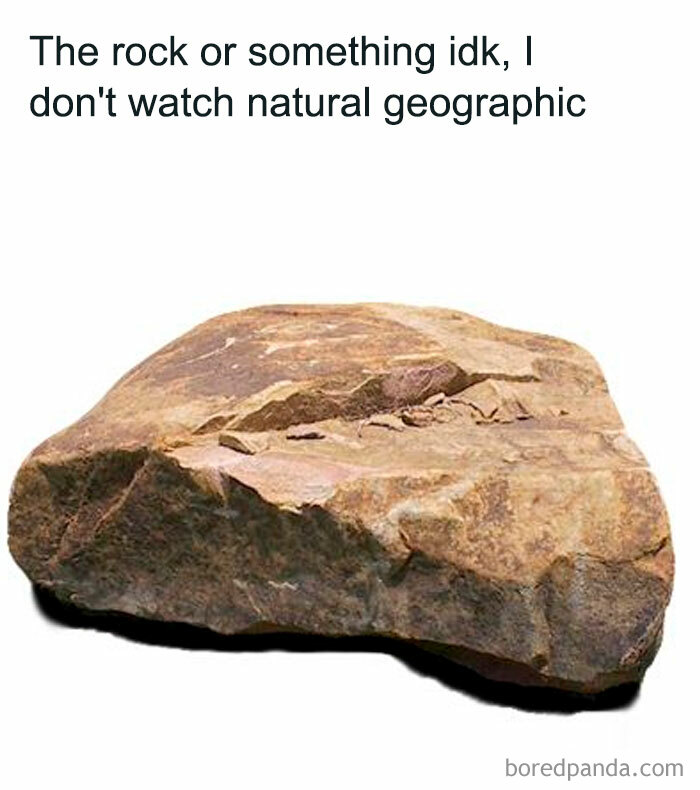 A The Rock meme showing a large, ordinary rock on a white background. The text above reads, "The rock or something idk, I don't watch natural geographic," humorously mocking the confusion between Dwayne "The Rock" Johnson and an actual rock. The meme plays on the misunderstanding and exaggerates the mix-up by referencing a lack of knowledge from watching nature documentaries, adding a comedic layer to the wordplay.