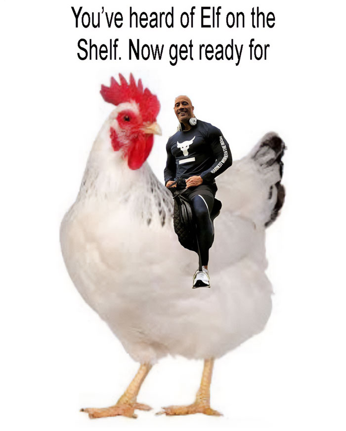 A The Rock meme featuring a large chicken with Dwayne "The Rock" Johnson sitting on its back. The Rock is dressed in athletic wear, smiling confidently. The text above reads, "You’ve heard of Elf on the Shelf. Now get ready for," implying a humorous twist as The Rock is placed on a chicken, playing on the popular rhyme format of the "Elf on the Shelf" meme.