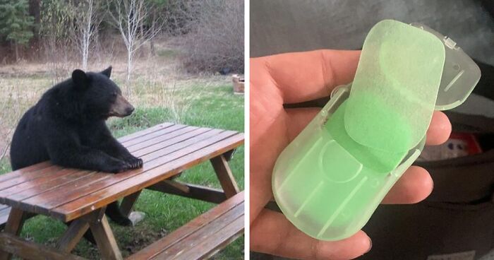 If You Live For Camping, These 20 Items Will Make It Even Better