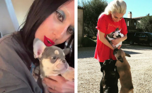 Lady Gaga Introduces New Pup Three Years After “Violent” Dognapping Horror