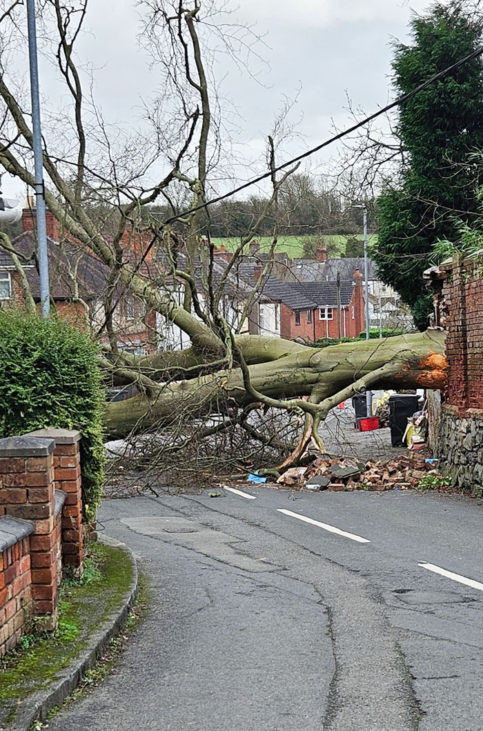 Be Careful, It's A Bit Windy Out Today