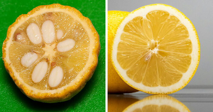 14 Pictures Of Common Fruits And Vegetables And How They Looked Before Genetic Modification 