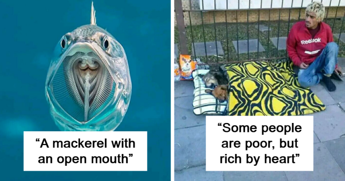 70 Times People Saw Such Weird And Interesting Things They Had To Share Them In This FB Group