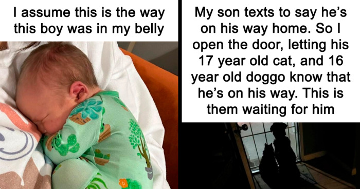 If The World Seems Like A Sad Place Right Now, These 113 Wholesome Posts Might Change Your Mind