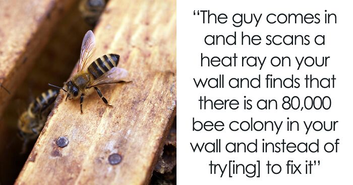 Landlord Doesn’t Lift A Finger After Releasing 1000s Of Bees Into Woman’s House, Drama Ensues