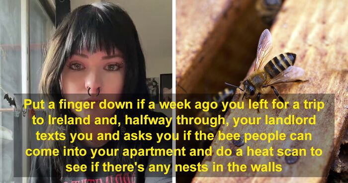 Tenant Has To Move Out After Landlord Releases 1000s Of Bees In House Then Ignores Pleas For Help