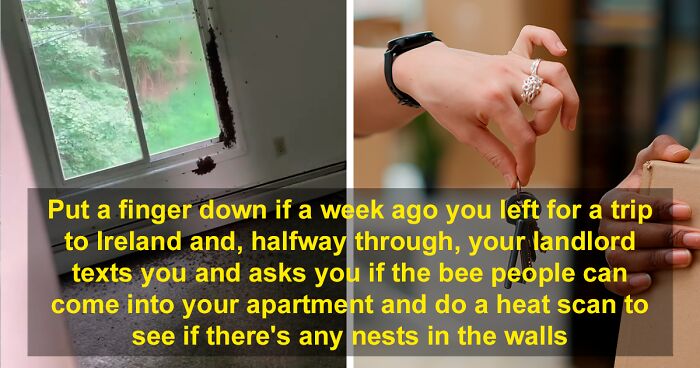 Beekeeper Botches Hive Removal, Woman Returns To 1000s Of Bees In Her House And No Landlord