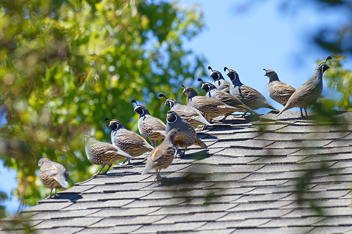 People Fail To Reason With Loud Creepy Neighbor, So Woman Ensures He Suffers Daily