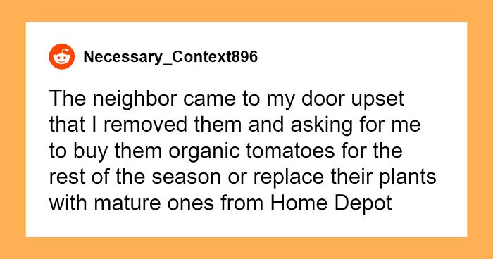 Woman Rips Out Neighbors’ Veggies From Her Own Backyard, They Demand Compensation