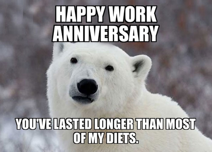  A work anniversary meme featuring a close-up of a polar bear with a neutral expression, set against a snowy background. The text at the top reads, "HAPPY WORK ANNIVERSARY," and the text at the bottom says, "YOU'VE LASTED LONGER THAN MOST OF MY DIETS." The meme humorously compares the longevity of the work anniversary to the often short-lived nature of diets.