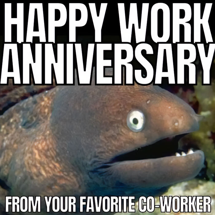 A work anniversary meme featuring an image of a Moray eel with a wide-eyed, slightly surprised expression. The text at the top reads, "HAPPY WORK ANNIVERSARY," and the text at the bottom says, "FROM YOUR FAVORITE CO-WORKER." The meme humorously uses the eel's expression to convey a mix of excitement and awkwardness in celebrating a colleague's work anniversary.