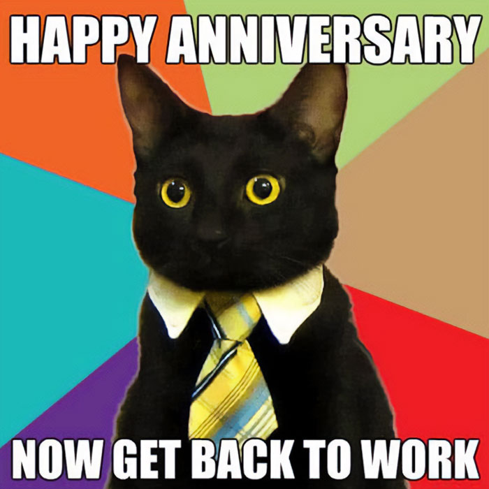 A Work Anniversary meme featuring a black cat wearing a yellow striped tie, set against a colorful background. The text at the top of the image reads, "Happy Anniversary," while the text at the bottom says, "Now get back to work." The meme humorously acknowledges the work anniversary while playfully reminding the person to continue working.