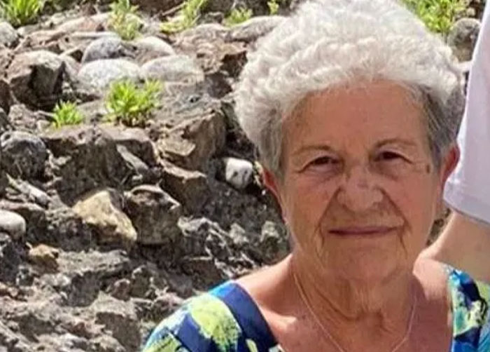 89-Year-Old Grandma Lost For Four Days In Alps Survives After Befriending Wild Fox