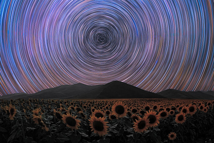 Star trails swirling above a field of sunflowers, showcasing the future of photography.