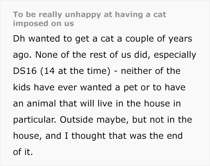 Husband Makes A Selfish Decision To Bring A Kitten Home Without Considering His Family's Feelings