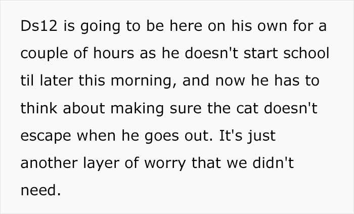 Husband Makes A Selfish Decision To Bring A Kitten Home Without Considering His Family's Feelings