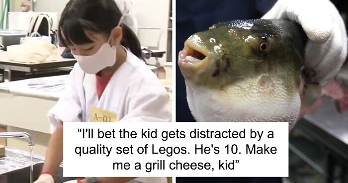 “Amazing”: 10-Year-Old Achieves Landmark Certification To Safely Prepare Poisonous Fish