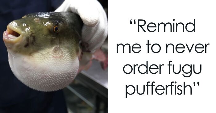 Young Japanese Girl Masters The Art Of Preparing Poisonous Pufferfish At Just 10 Years Old